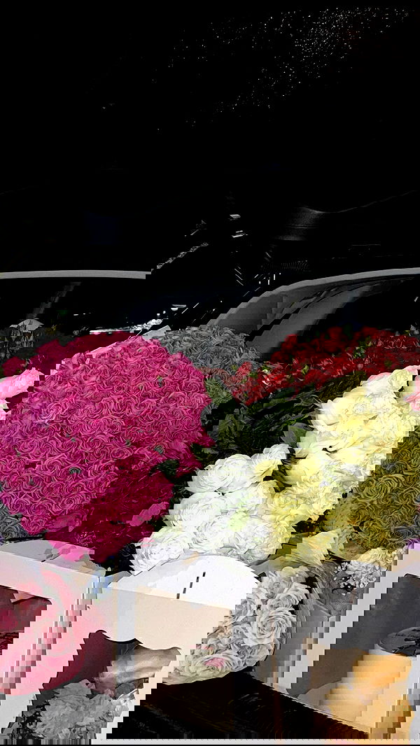 meleeva meleeva archive image