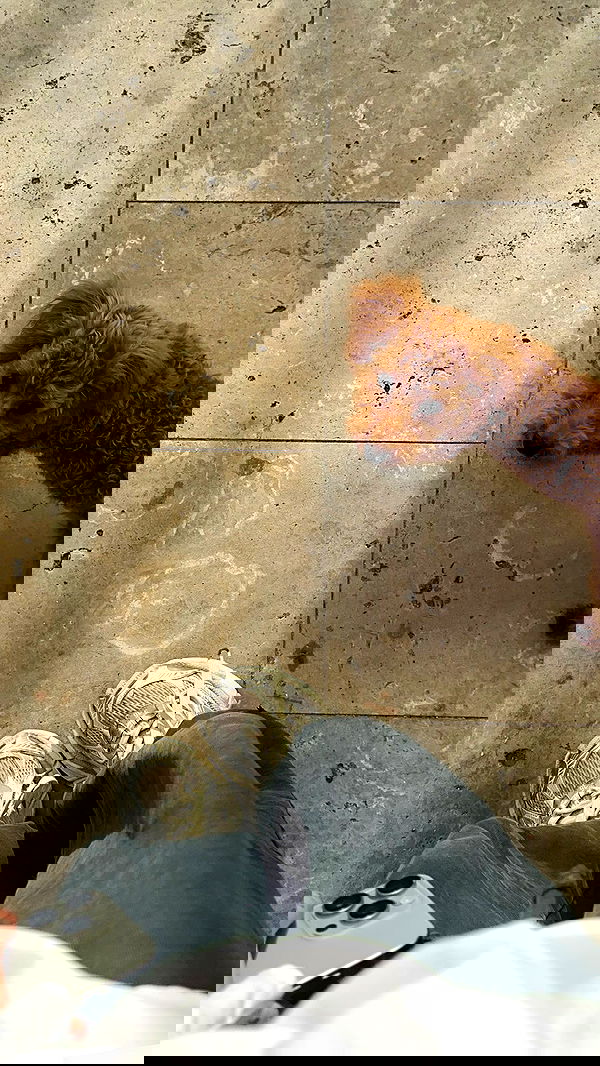 meleeva meleeva archive image