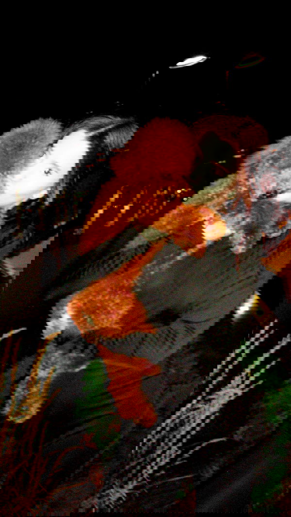 meleeva meleeva archive image