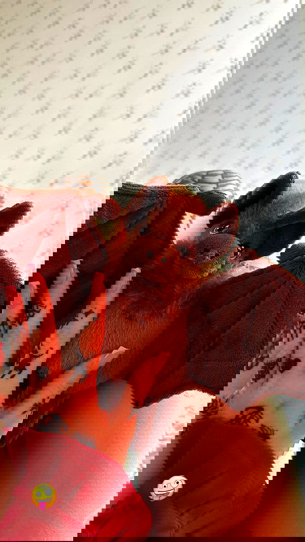 meleeva meleeva archive image