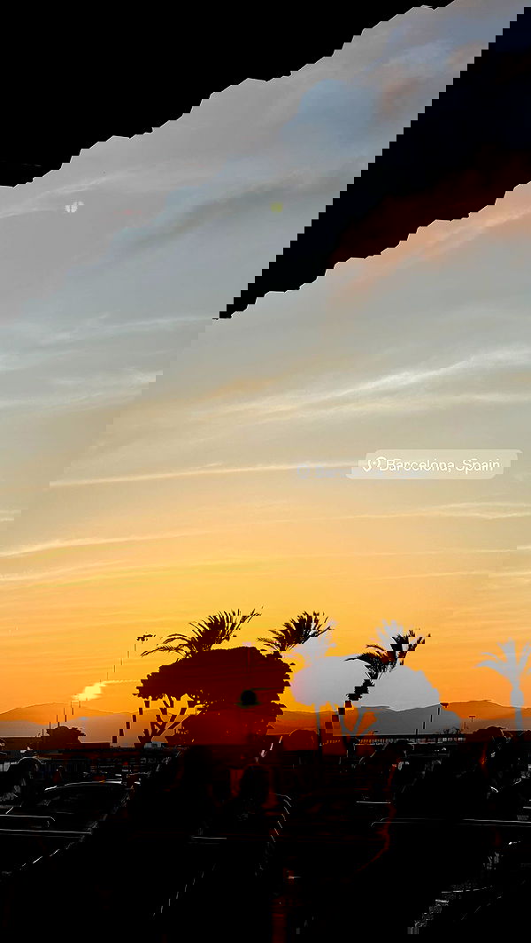 meleeva meleeva archive image