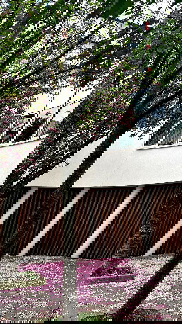 meleeva meleeva archive image