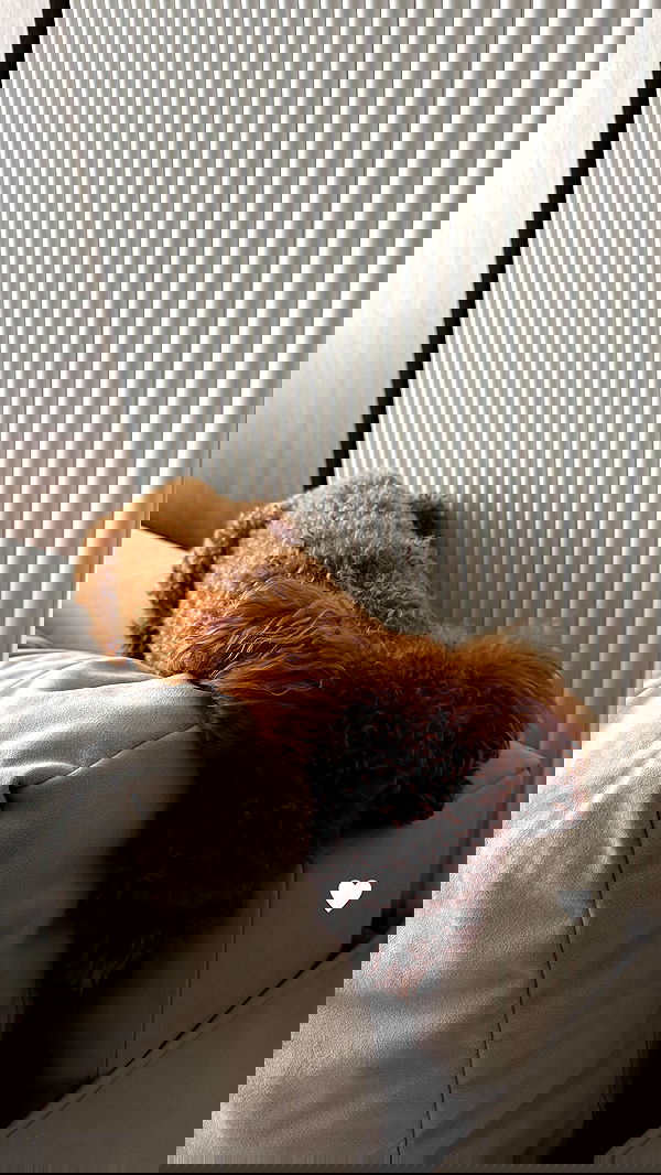 meleeva meleeva archive image