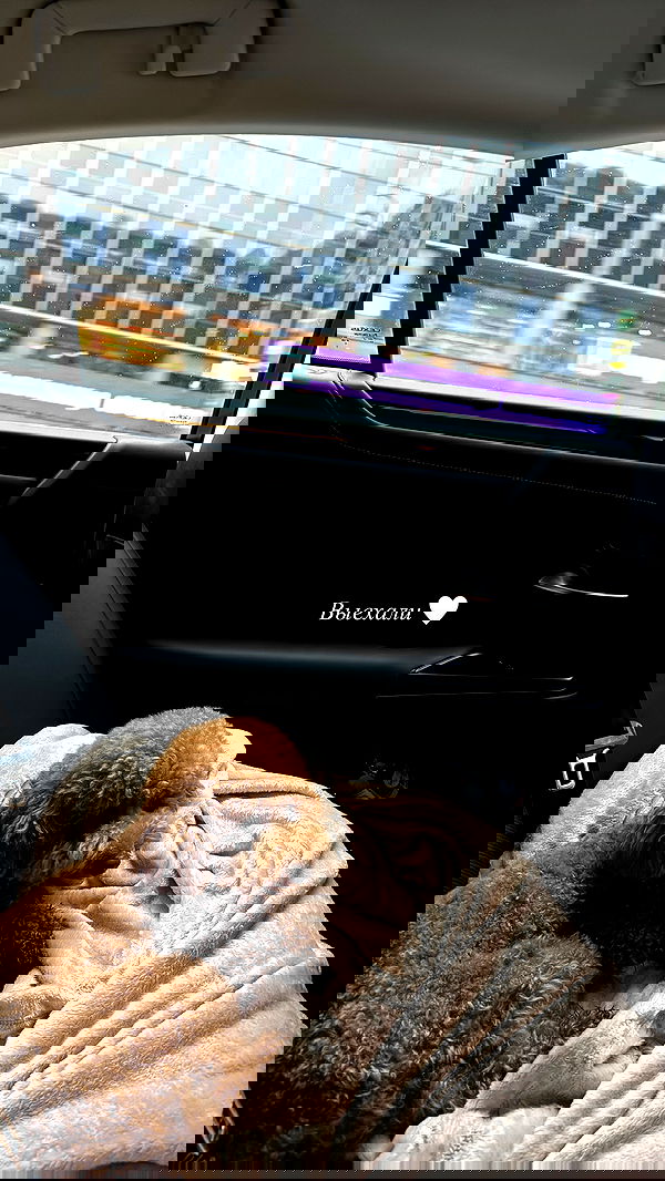 meleeva meleeva archive image