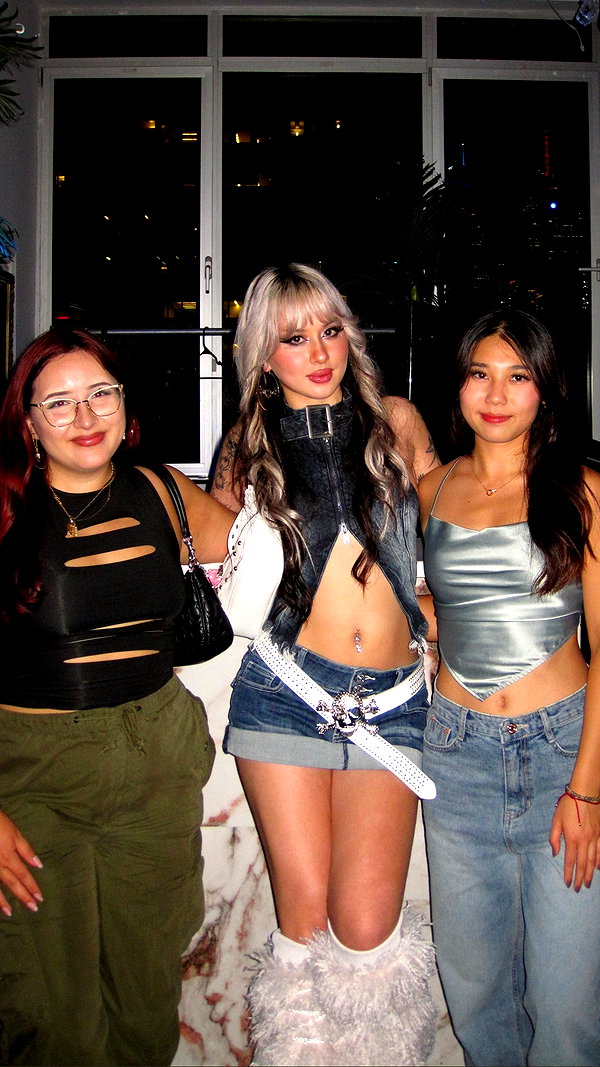 melislie melislie archive image