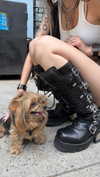 melislie Altpins Profile Picture