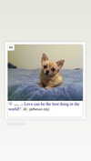 melissacollazo Altpins Profile Picture