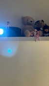 melissacollazo Altpins Profile Picture