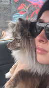 melissacollazo Altpins Profile Picture