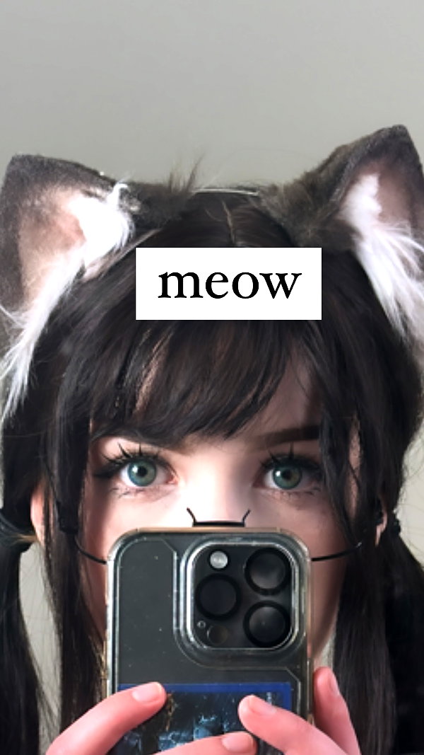 melondoki melondoki archive image