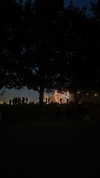 merveystar Altpins Profile Picture
