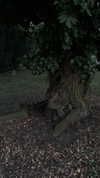 merveystar Altpins Profile Picture