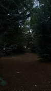 merveystar Altpins Profile Picture
