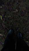 merveystar Altpins Profile Picture