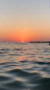 meytal_zerbib Altpins Profile Picture