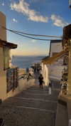 meytal_zerbib Altpins Profile Picture