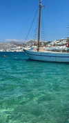 meytal_zerbib Altpins Profile Picture