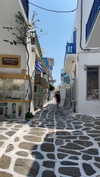 meytal_zerbib Altpins Profile Picture