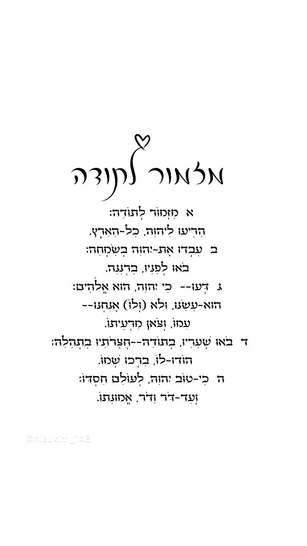 meytal_zerbib meytal_zerbib archive image