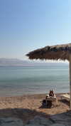 meytal_zerbib Altpins Profile Picture