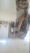 mia_rihan_ Altpins Profile Picture