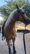 mia_rihan_ Altpins Profile Picture