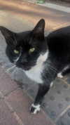 mia_rihan_ Altpins Profile Picture