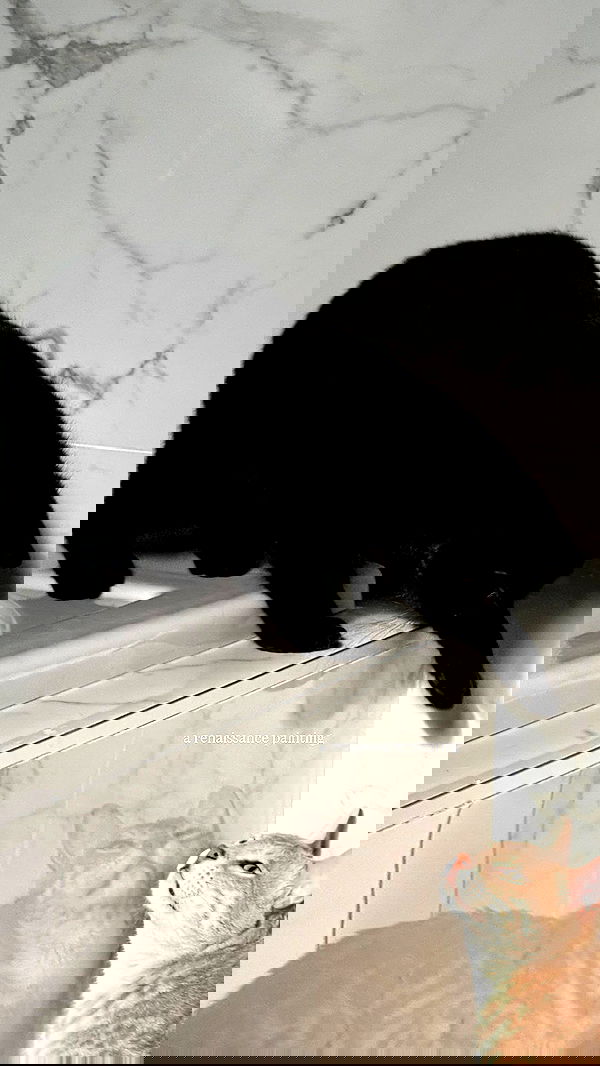 miakhalifa miakhalifa archive image