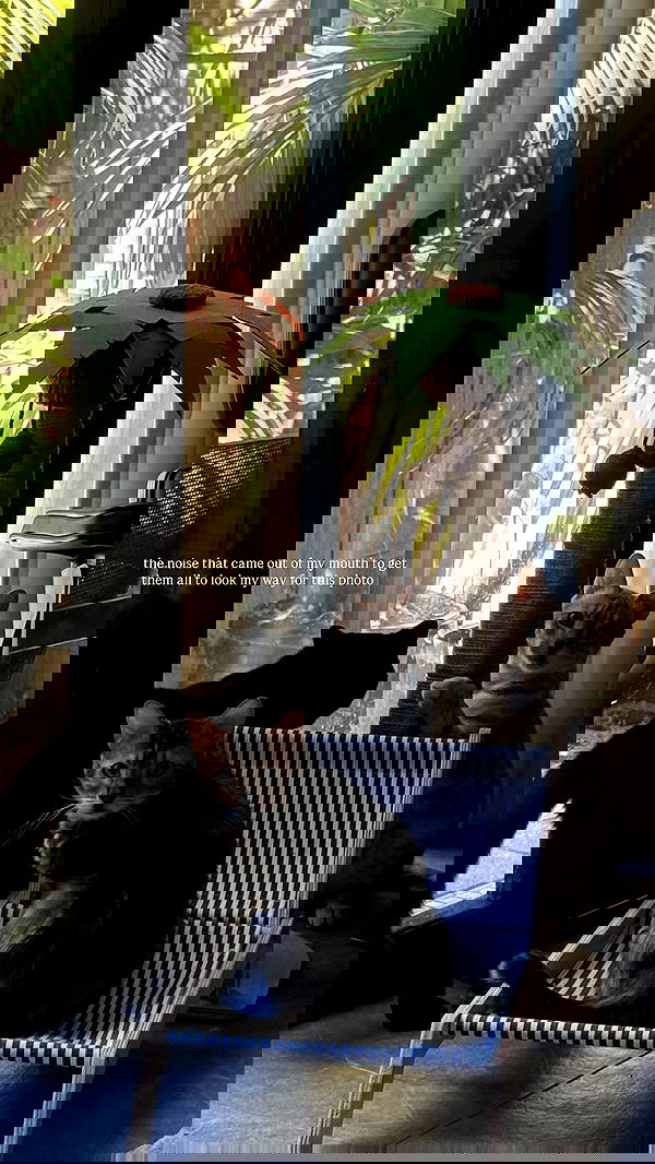 miakhalifa miakhalifa archive image