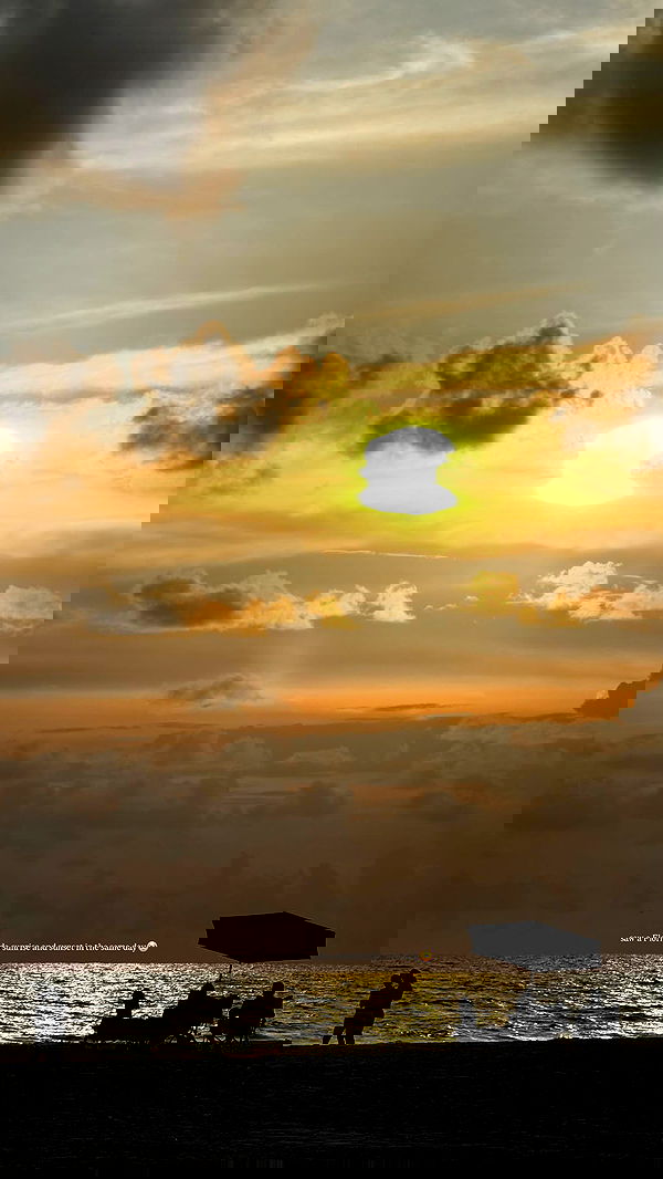 miakhalifa miakhalifa archive image