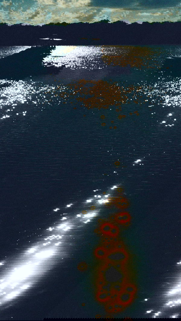 miakhalifa miakhalifa archive image