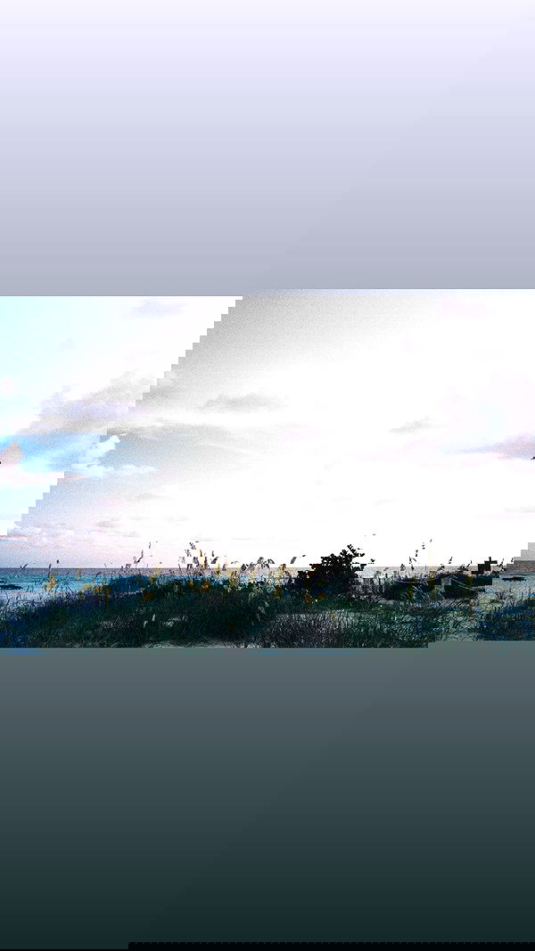 miakhalifa miakhalifa archive image