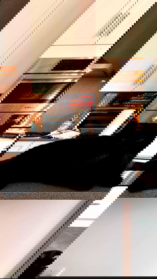 miakhalifa miakhalifa archive image