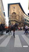 michael_ayazgi Altpins Profile Picture