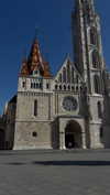 michal.azulay2 Altpins Profile Picture