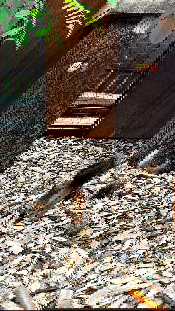 michelleloven_ michelleloven_ archive image