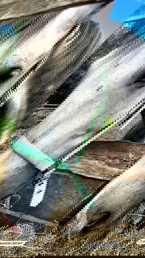 michelleloven_ michelleloven_ archive image