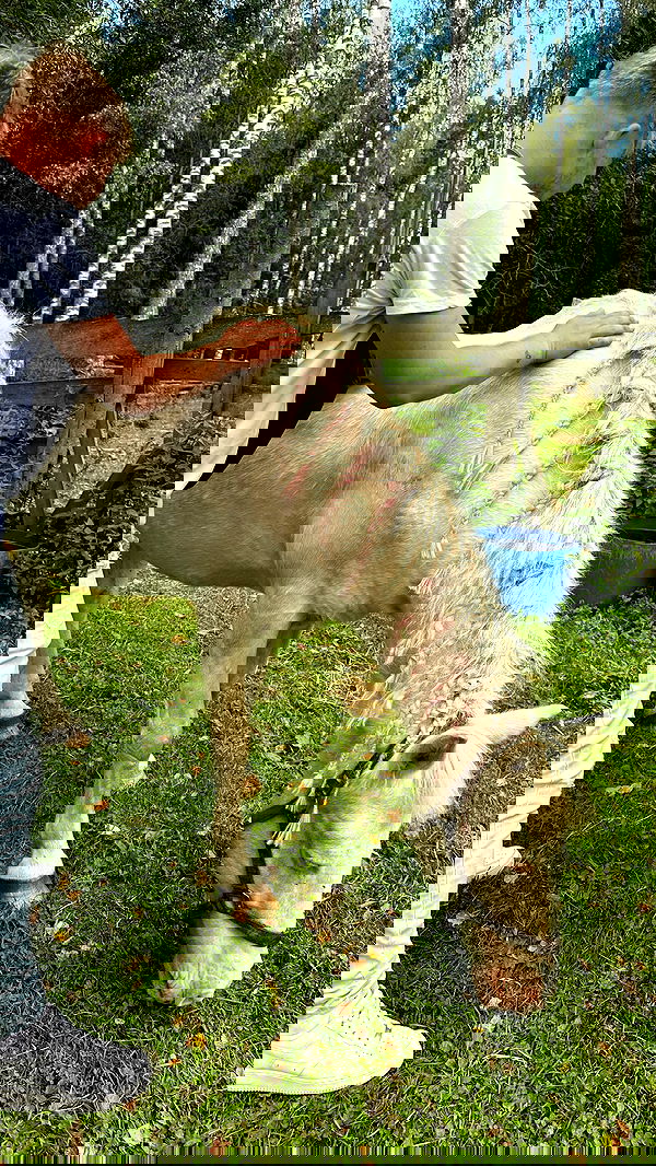 michelleloven_ michelleloven_ archive image