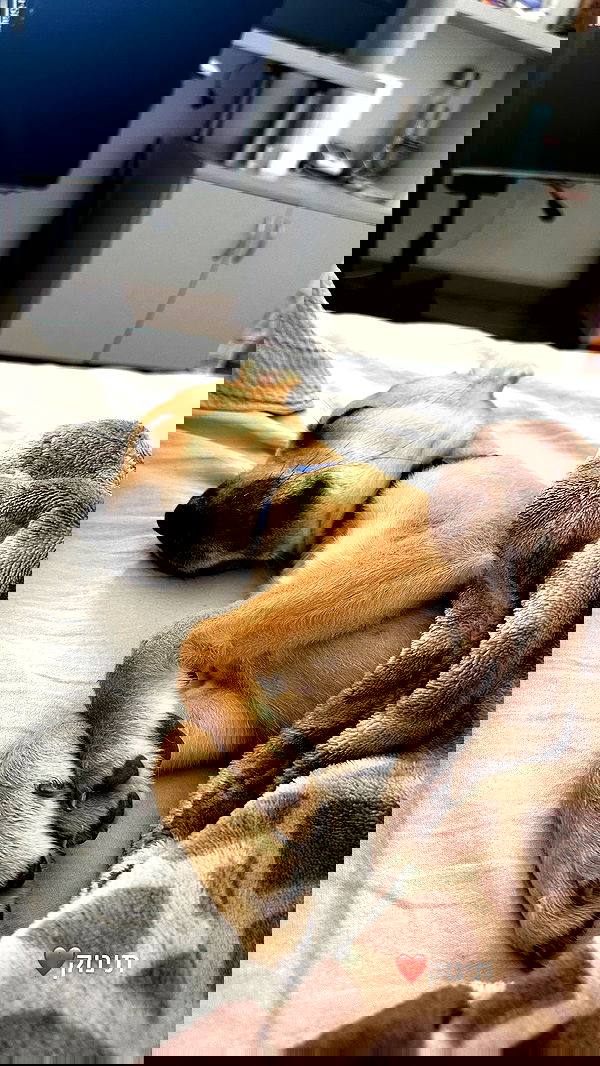 michelleloven_ michelleloven_ archive image