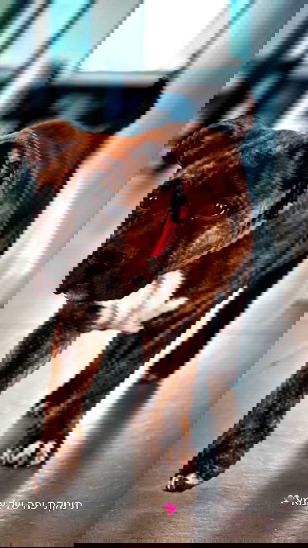 michelleloven_ michelleloven_ archive image