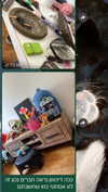 mika_doesnt_exist Altpins Profile Picture