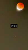 mika_doesnt_exist Altpins Profile Picture