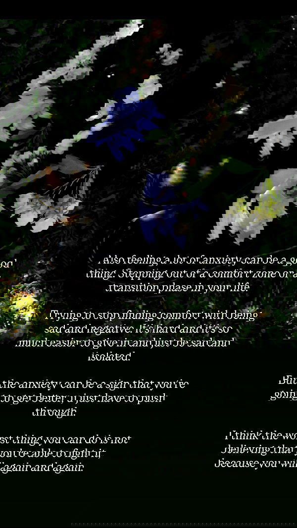 milkgore milkgore archive image