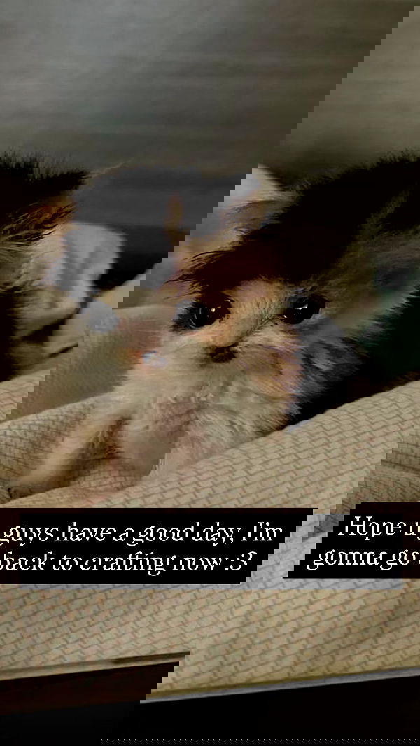 milkgore milkgore archive image