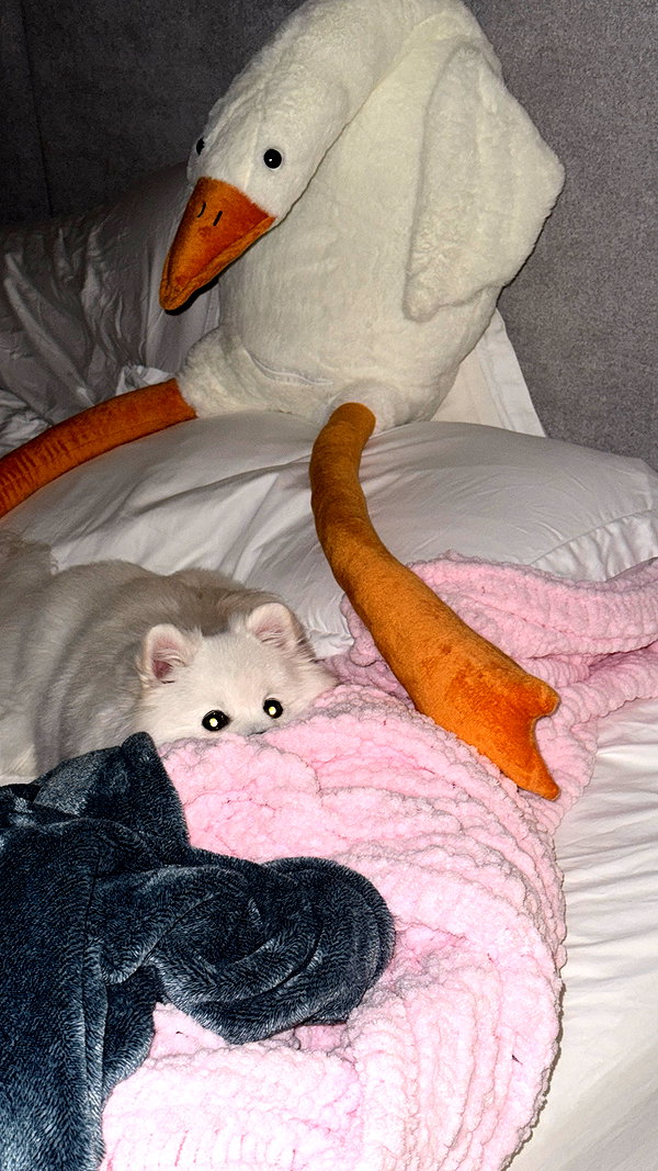 milla_snake milla_snake archive image