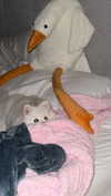 milla_snake Altpins Profile Picture