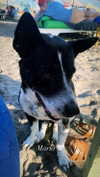 millie.bettsx Altpins Profile Picture