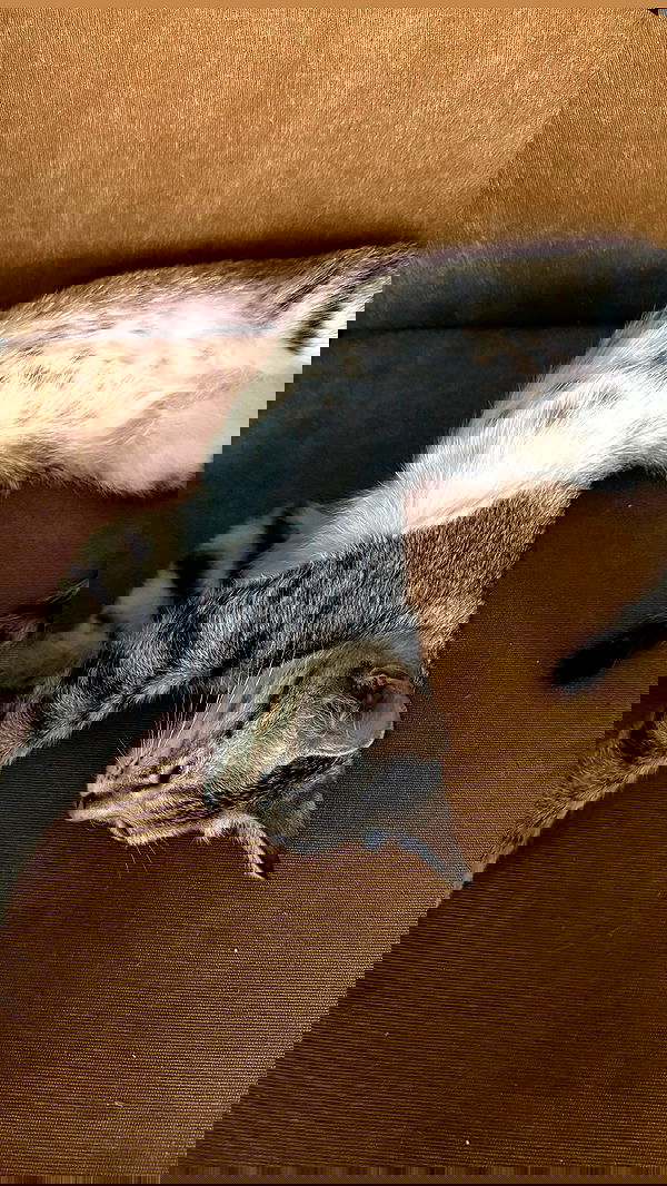 minaxash minaxash archive image