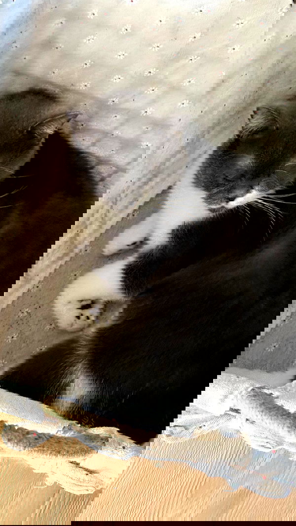 minaxash minaxash archive image