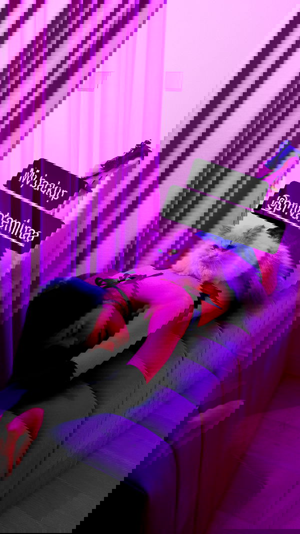 minaxash minaxash archive image